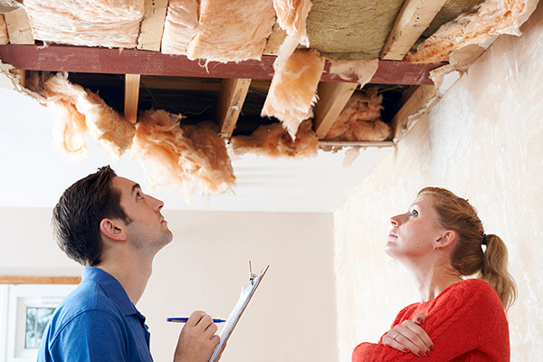  Home Repair and Maintenance
