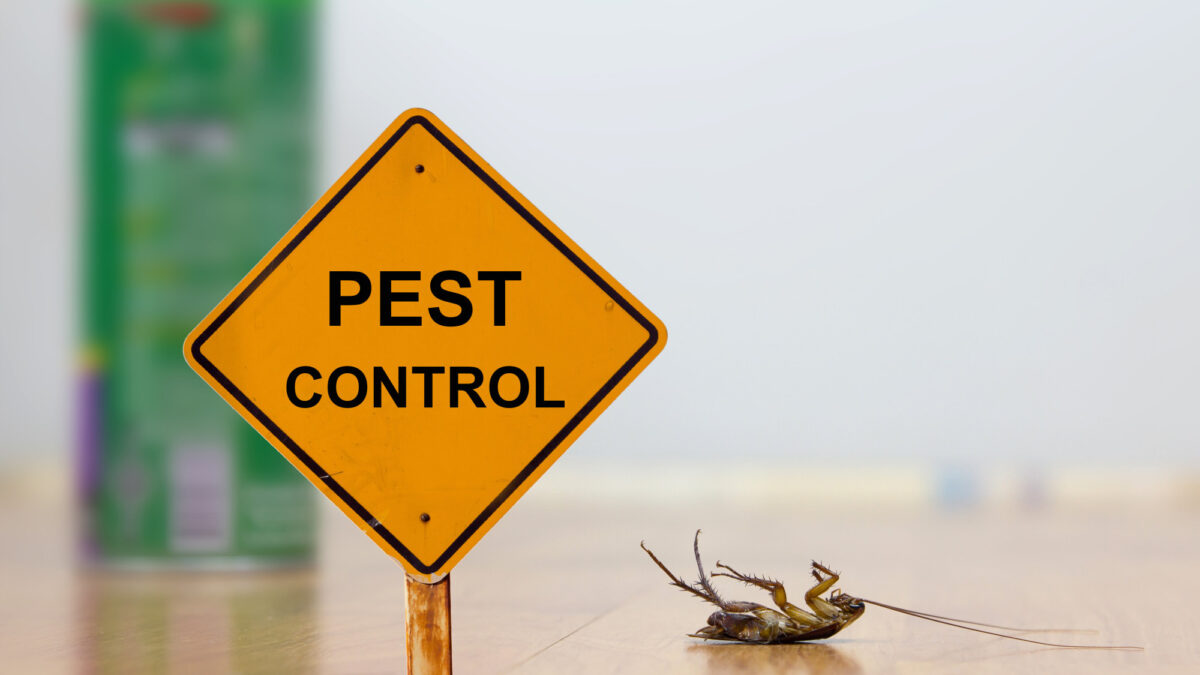 10 Most prominent pest control tips followed by homeowners