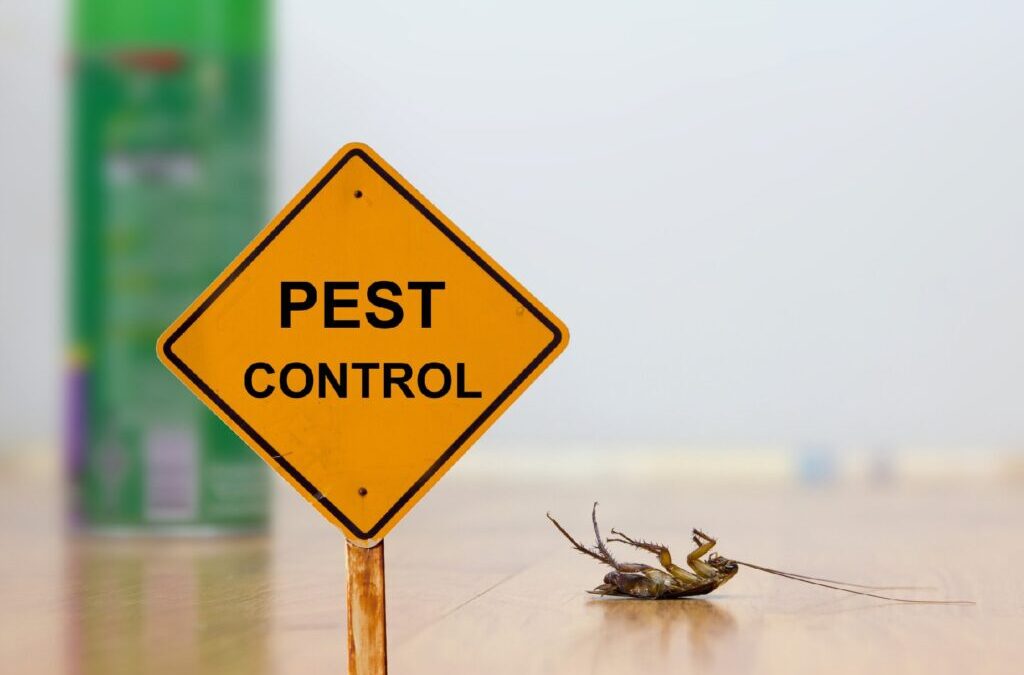 Dealing with Pest Infestations After a Flood or Natural Disaster