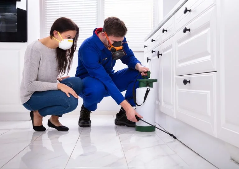 Effective Pest Control Products for a Pest-Free Home